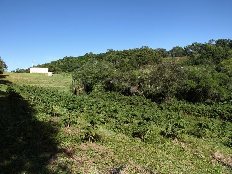 107 Pathara Road, North Arm QLD 4561