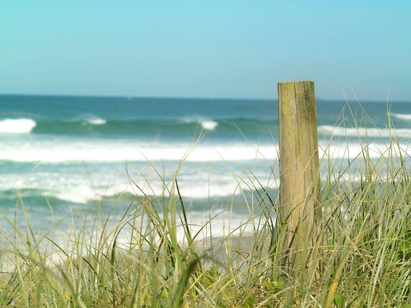 56 Avocet Parade, Peregian Beach QLD 4573