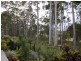 14 Lakeside Drive, Peregian Springs QLD 4573