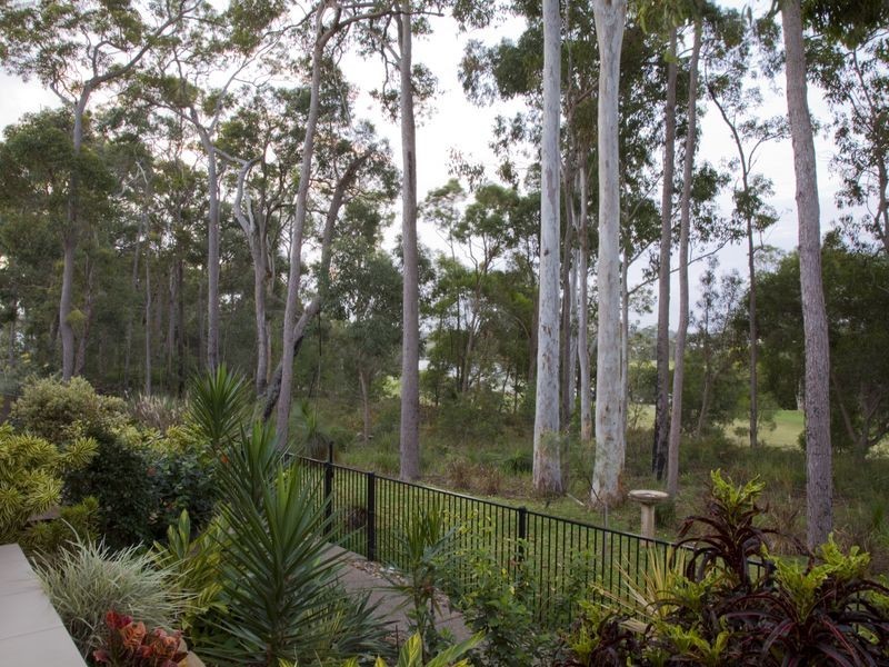 14 Lakeside Drive, Peregian Springs QLD 4573