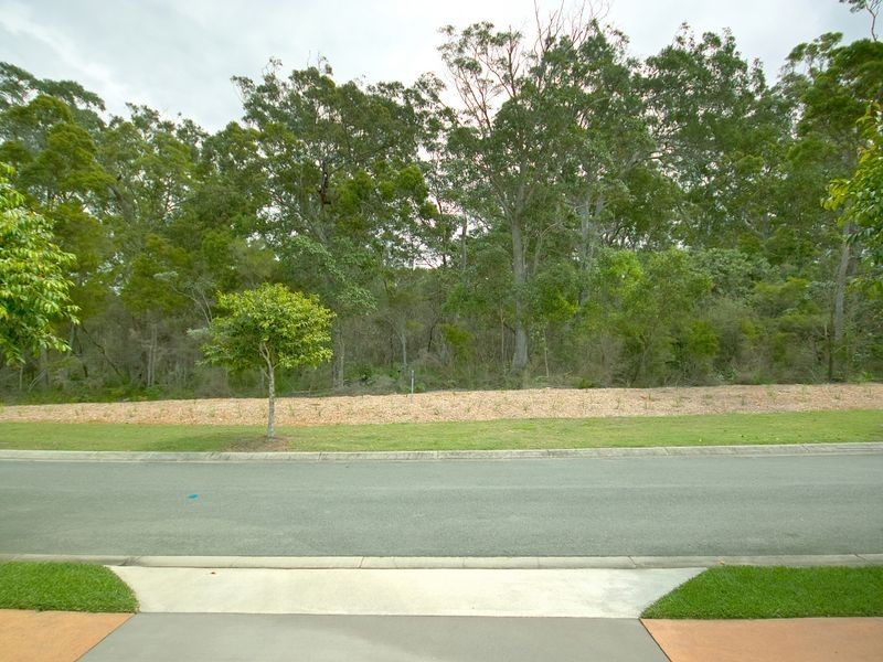 7 Thomson Place, Peregian Springs QLD 4573