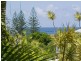 52 Spoonbill Street, Peregian Beach QLD 4573