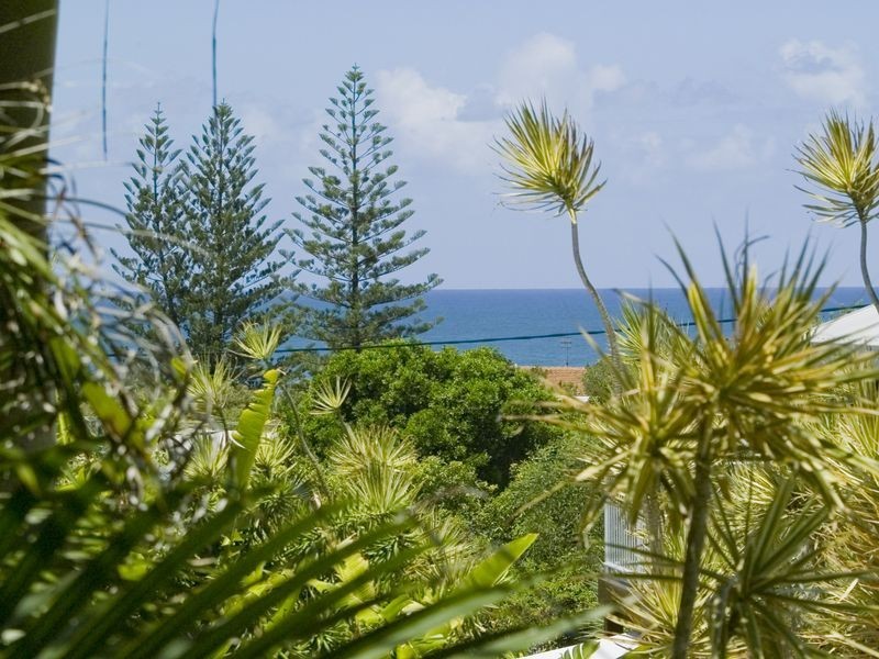 52 Spoonbill Street, Peregian Beach QLD 4573