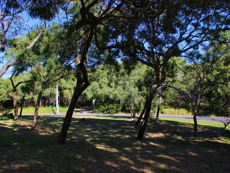 33 Callitris Crescent, Marcus Beach QLD 4573
