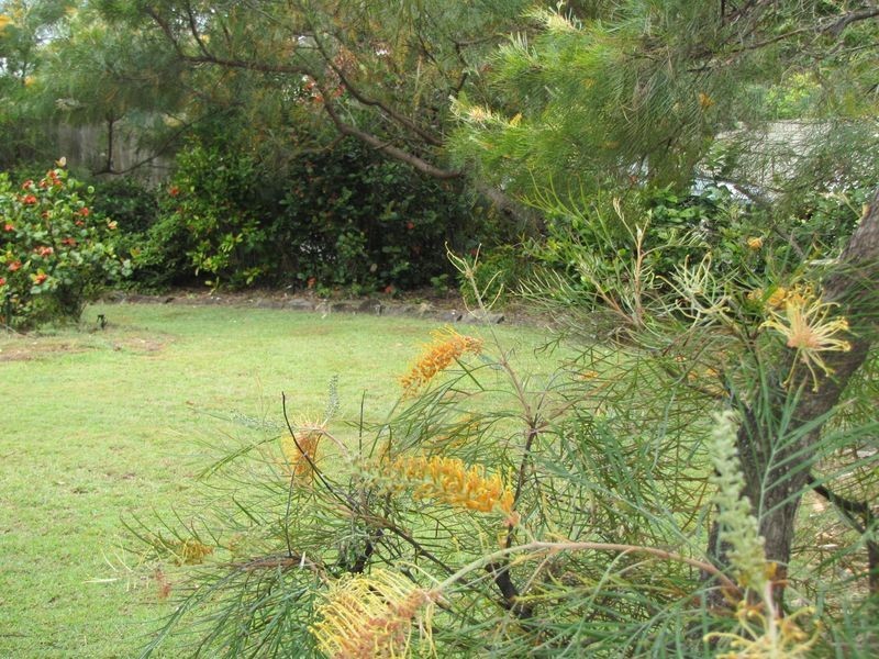 2 Coucal Crescent, Peregian Beach QLD 4573