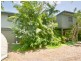 18 Peppertree Close, Marcus Beach QLD 4573