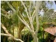 18 Peppertree Close, Marcus Beach QLD 4573