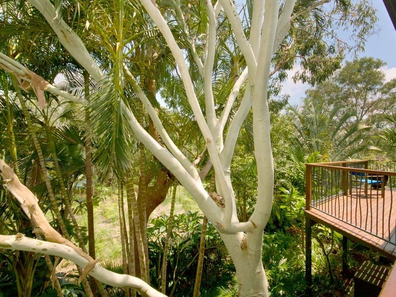 18 Peppertree Close, Marcus Beach QLD 4573