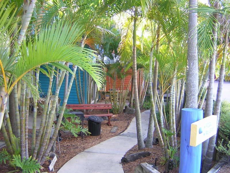 6/43 Oriole Avenue, Peregian Beach QLD 4573