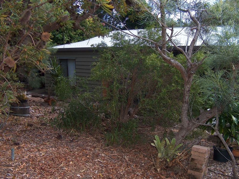 35 Spoonbill Street, Peregian Beach QLD 4573