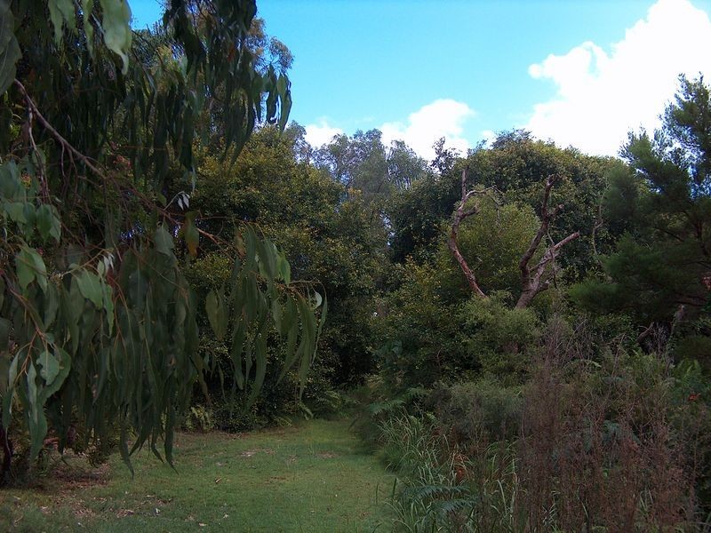 35 Spoonbill Street, Peregian Beach QLD 4573