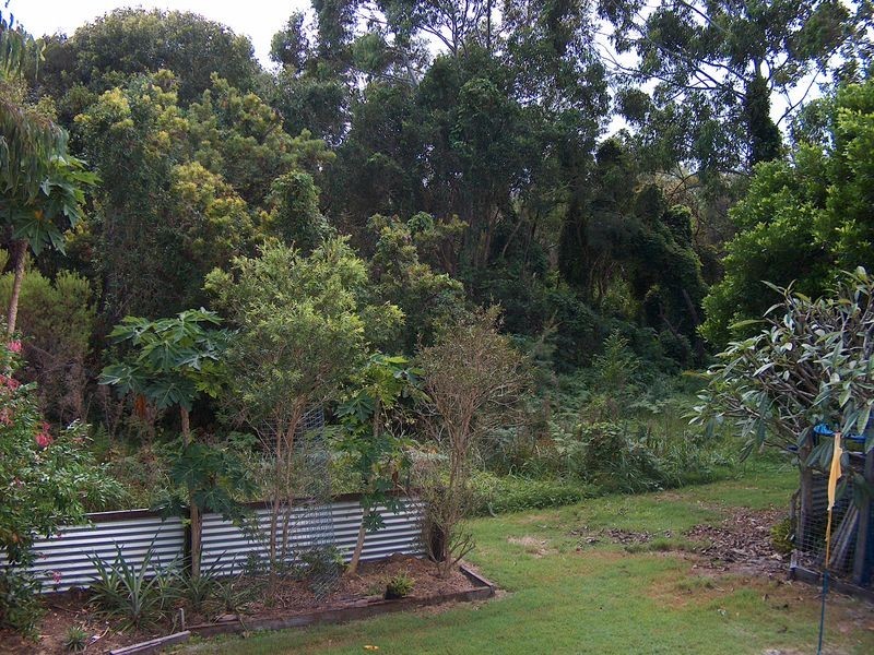 35 Spoonbill Street, Peregian Beach QLD 4573