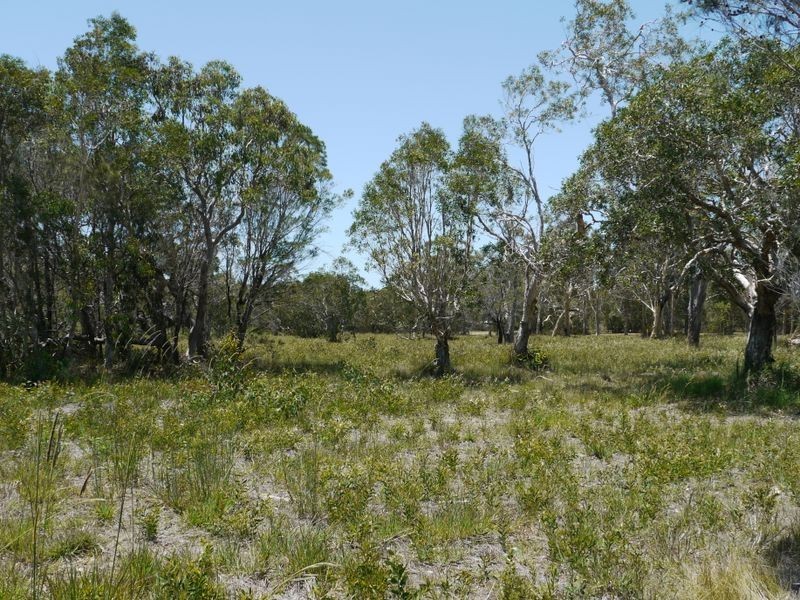 46 Murdering Creek Road, Peregian Beach QLD 4573