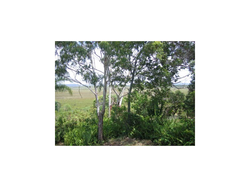 29 Podargus Parade, Peregian Beach QLD 4573