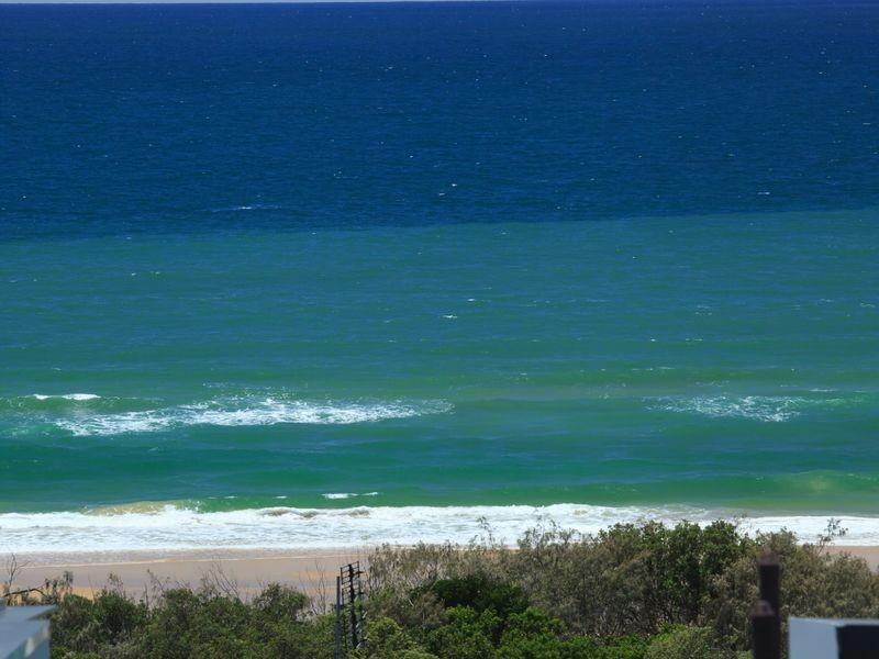 316 David Low Way, Peregian Beach QLD 4573