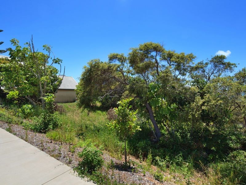 316 David Low Way, Peregian Beach QLD 4573