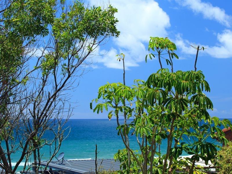 316 David Low Way, Peregian Beach QLD 4573