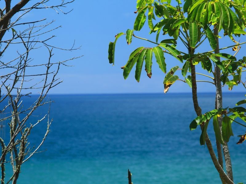 316 David Low Way, Peregian Beach QLD 4573