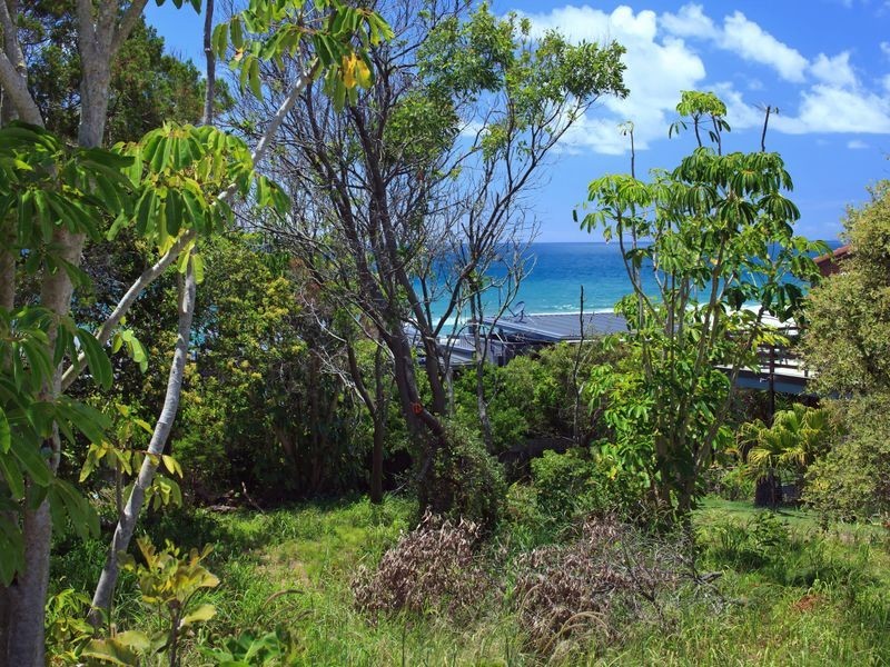 316 David Low Way, Peregian Beach QLD 4573