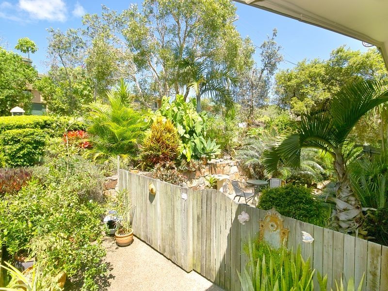 23 Jacana Street, Peregian Beach QLD 4573
