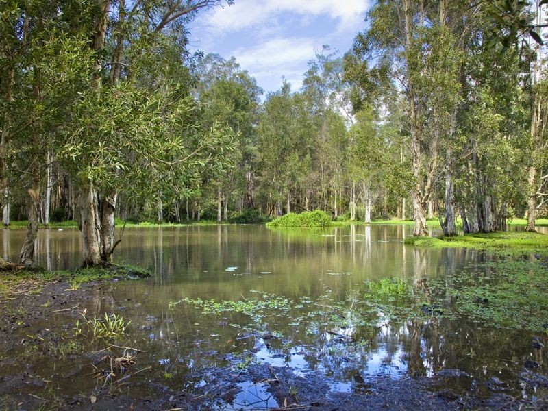 534 Yandina Coolum Road, Ninderry QLD 4561