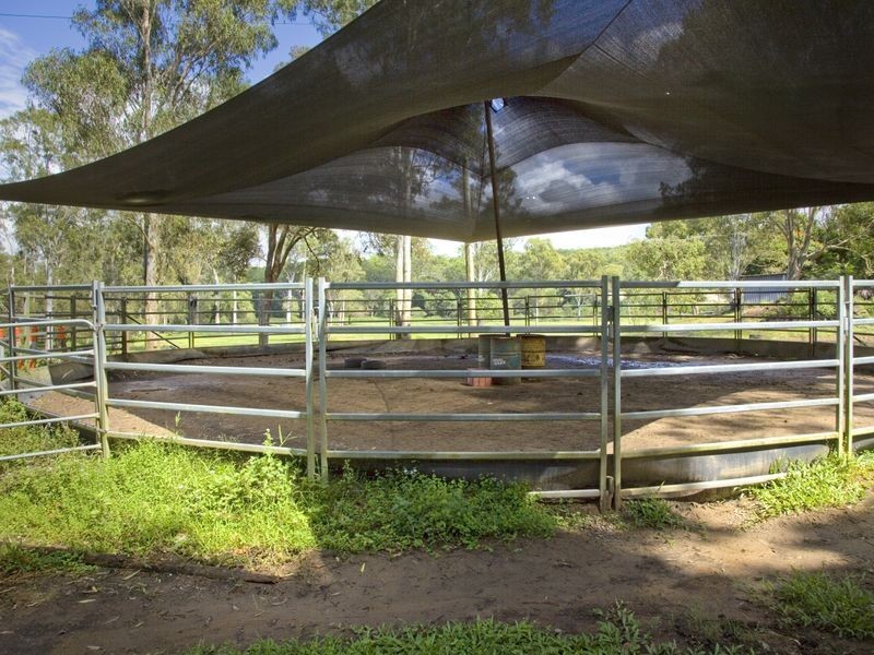 534 Yandina Coolum Road, Ninderry QLD 4561