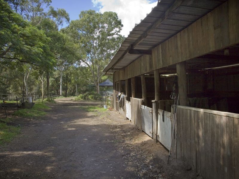 534 Yandina Coolum Road, Ninderry QLD 4561