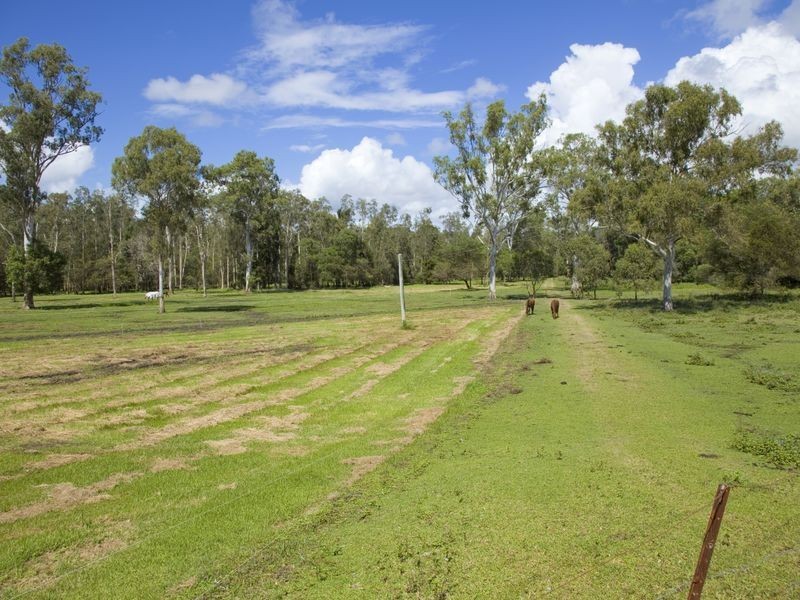 534 Yandina Coolum Road, Ninderry QLD 4561