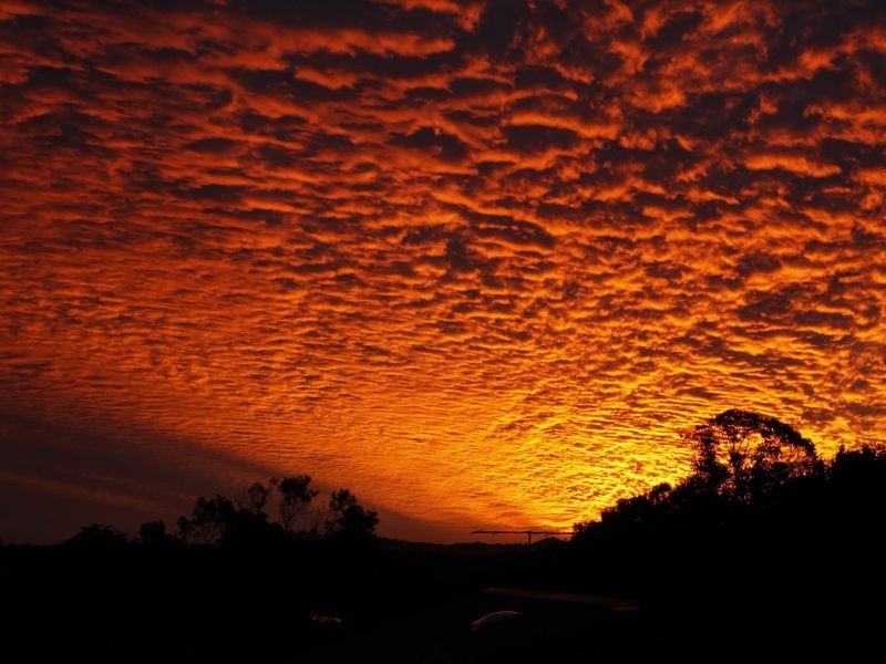 20 Woodland Drive, Peregian Beach QLD 4573