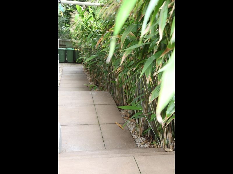 20 Woodland Drive, Peregian Beach QLD 4573