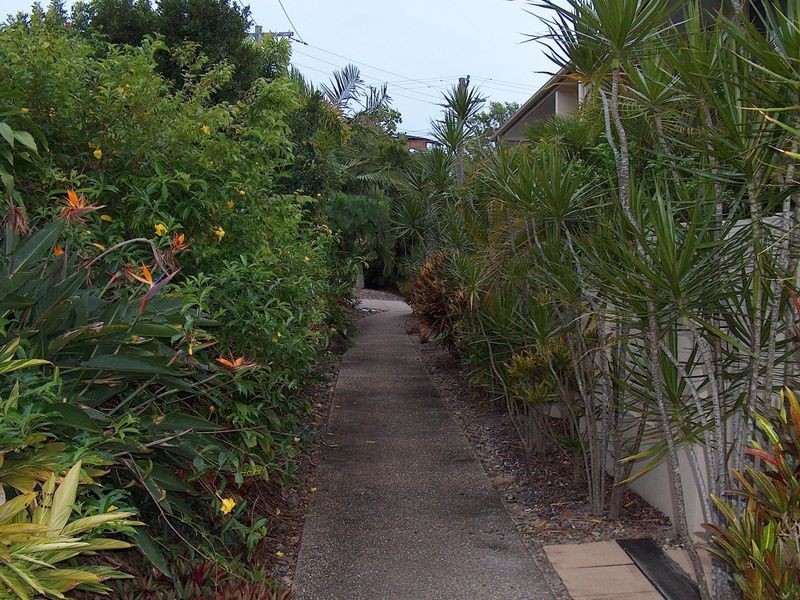 3/279 David Low Way, Peregian Beach QLD 4573