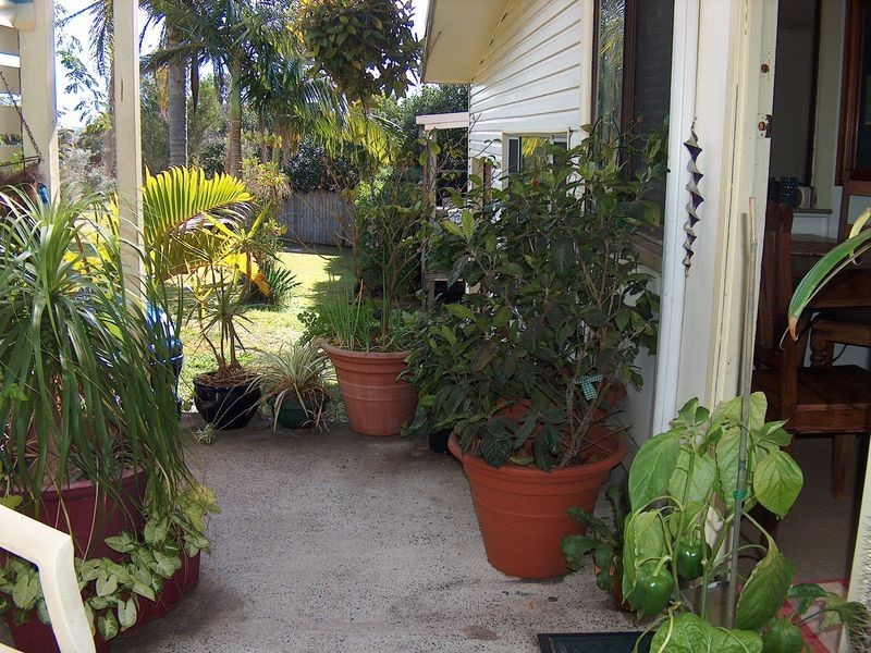 24 Gannet Street, Peregian Beach QLD 4573