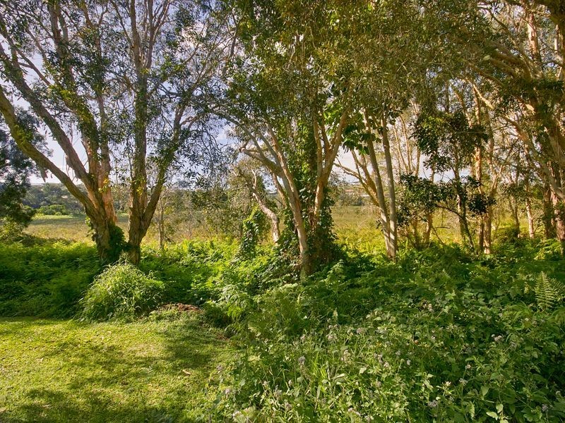 21 Spoonbill Street, Peregian Beach QLD 4573