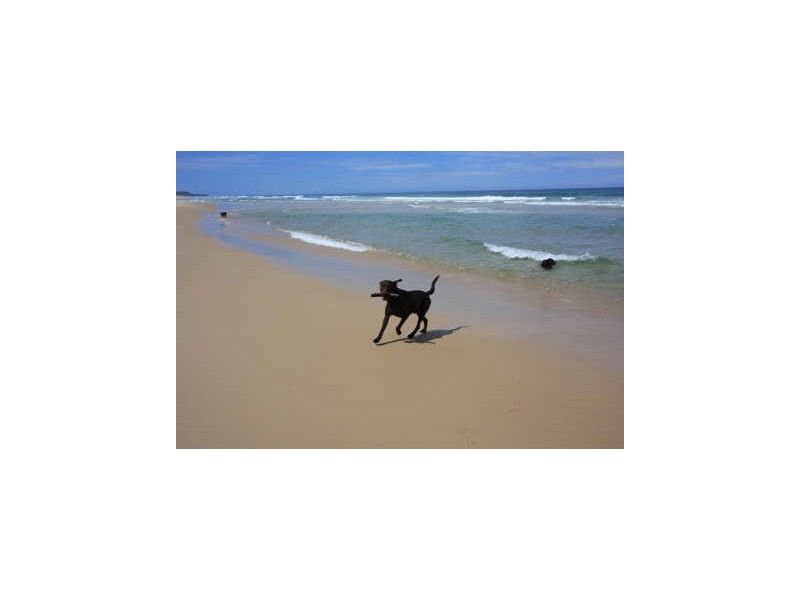 10 Callitris Cres, BEACH AFFAIR, Marcus Beach QLD 4573