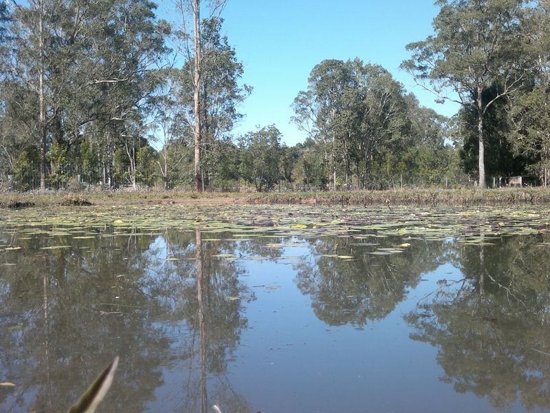 11 Fairhill Road, Ninderry QLD 4561