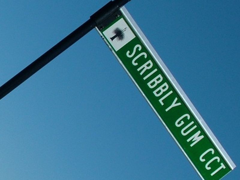Lot 4407 Scribbly Gum Circuit, Peregian Springs QLD 4573