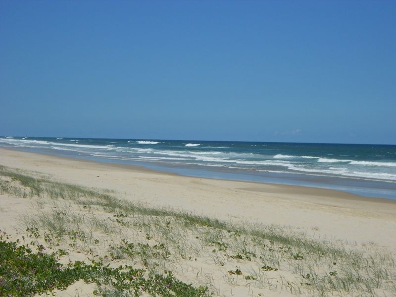 274 David Low Way, Peregian Beach QLD 4573