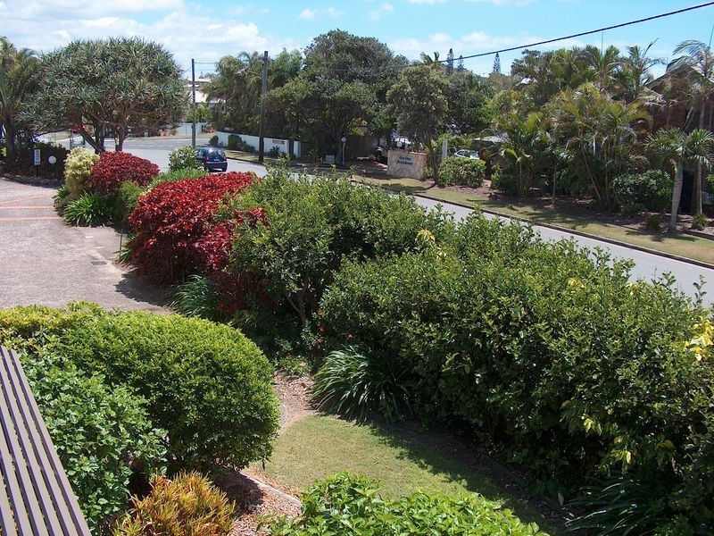 10/380 David Low Way, Peregian Beach QLD 4573