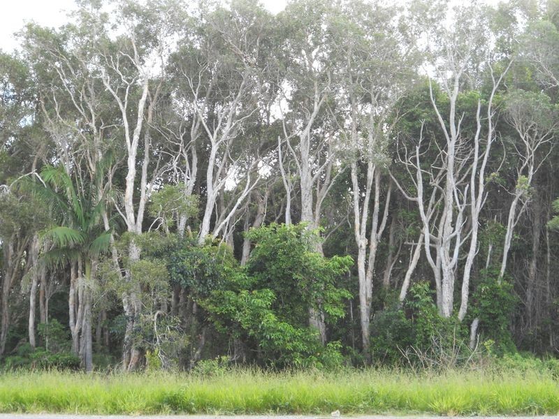 1/2247 David Low Way, Peregian Beach QLD 4573