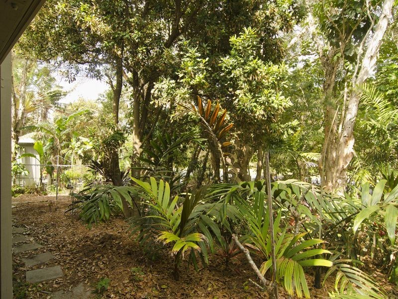 11 Oriole Avenue, Peregian Beach QLD 4573