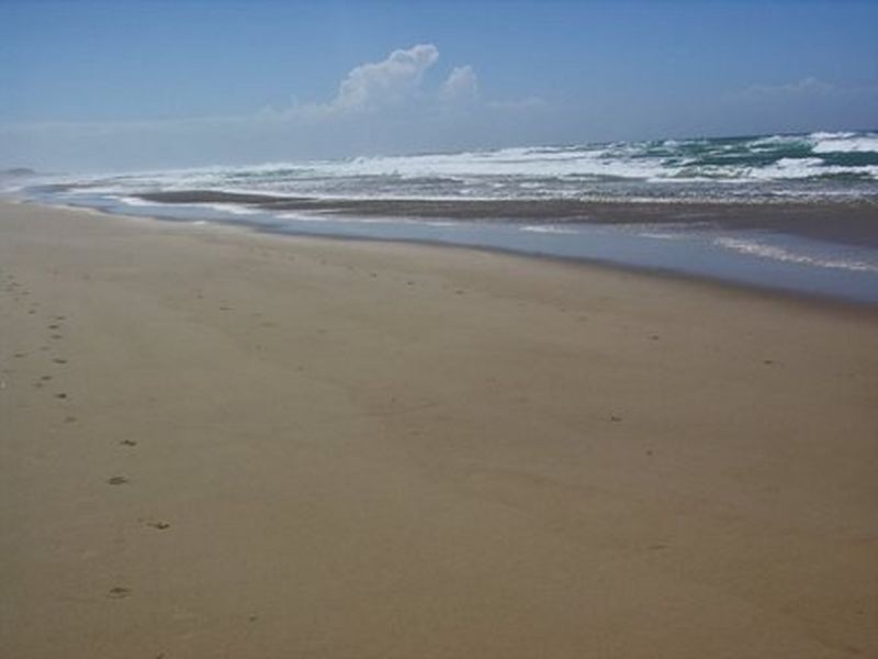 25 Shearwater Street, Peregian Beach QLD 4573