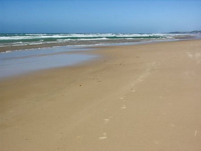 25 Shearwater Street, Peregian Beach QLD 4573