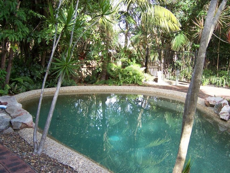 55 Spoonbill Street, Peregian Beach QLD 4573