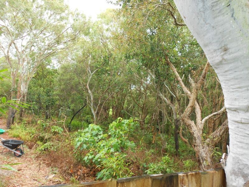 55 Spoonbill Street, Peregian Beach QLD 4573