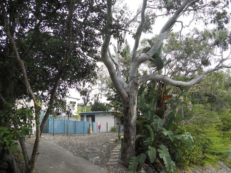 44 Jacana Street, Peregian Beach QLD 4573