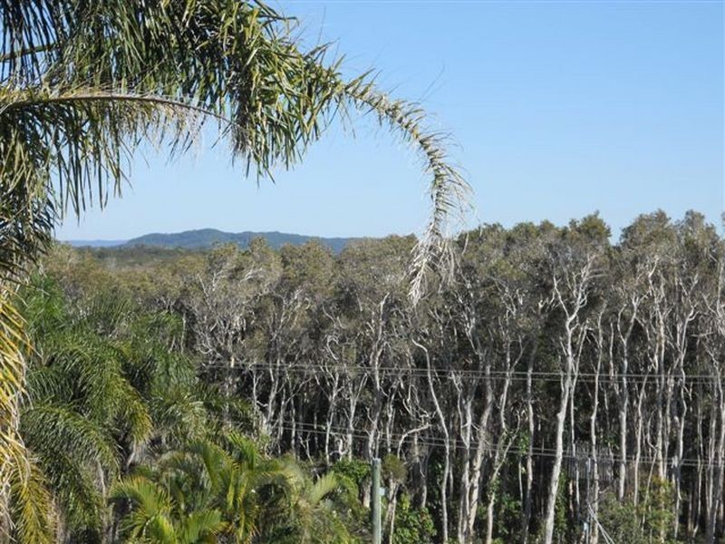 11 Jacana Street, Peregian Beach QLD 4573