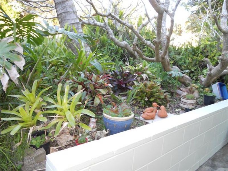 11 Jacana Street, Peregian Beach QLD 4573