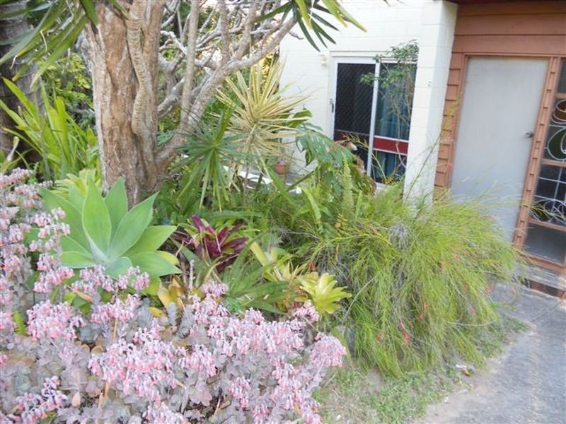 11 Jacana Street, Peregian Beach QLD 4573