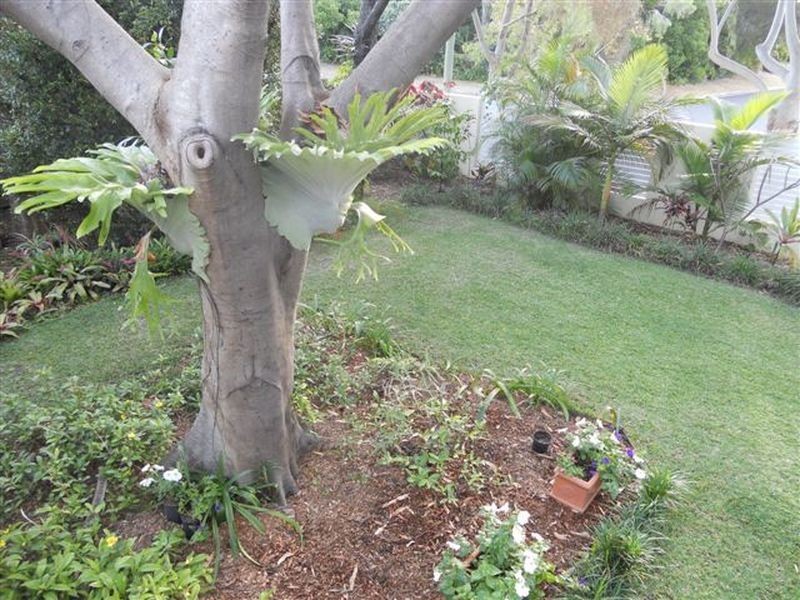 148 Persimmon Drive, Marcus Beach QLD 4573