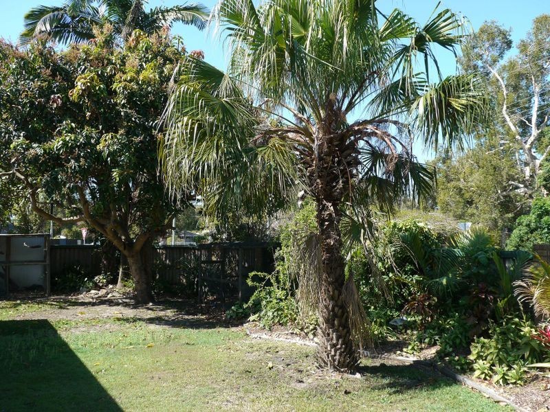 53 Jones Parade, Coolum Beach QLD 4573